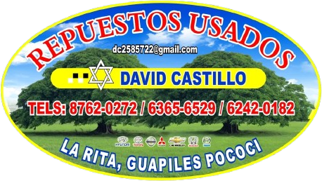Repuestos Usados David Castillo